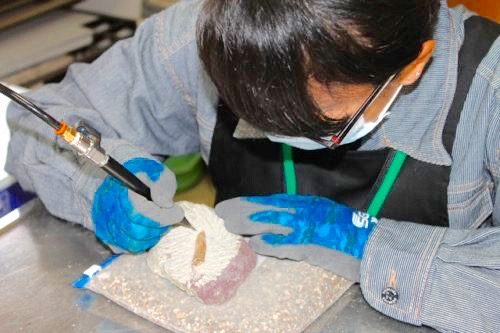 【Saikaiブログ】崎戸歴史民俗資料館に遊びにいったら、未知なる謎の生物の化石を掘っていた！