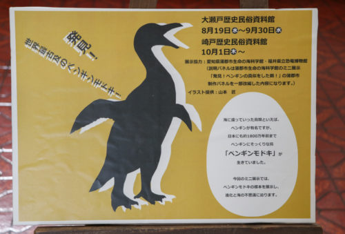 見に行こう！太古の飛べない鳥、ペンギンモドキの化石の展示 in 大瀬戸