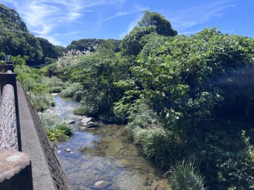 暑い夏の川遊び