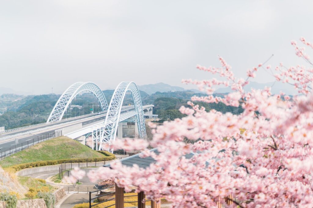 西海橋公園 桜 うず潮まつり 春